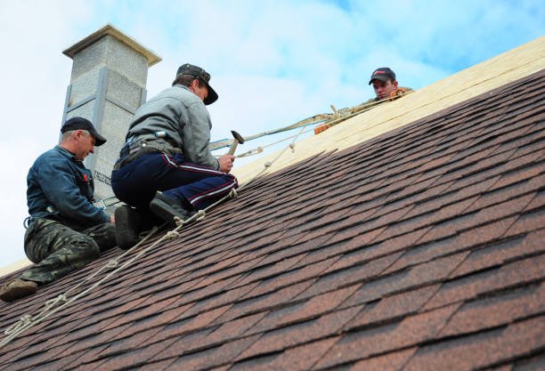 Best Local Roofing Companies  in Nashville, NC